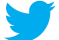 twiiter